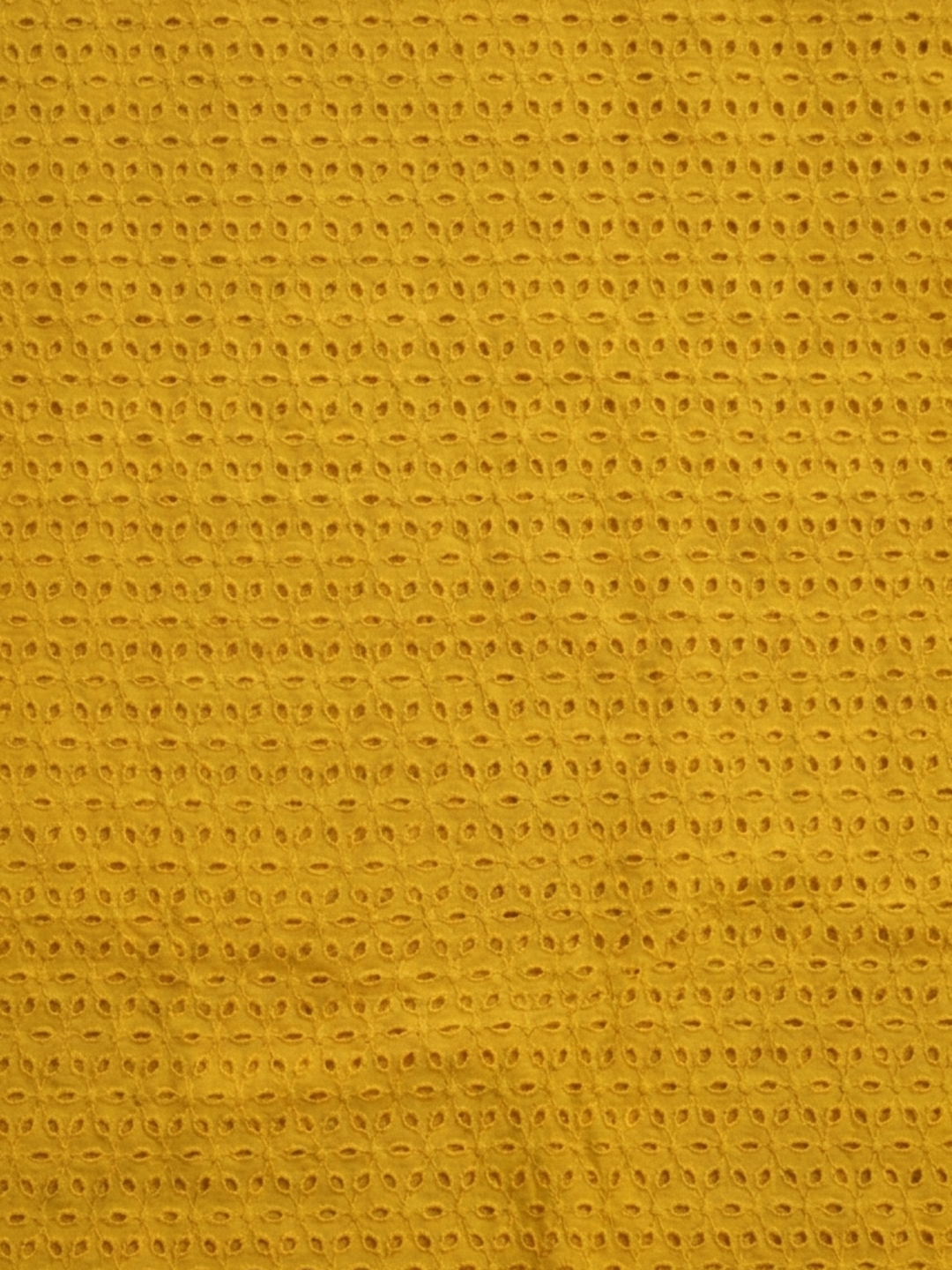 Mustard six hole schiffli embroidered fabric