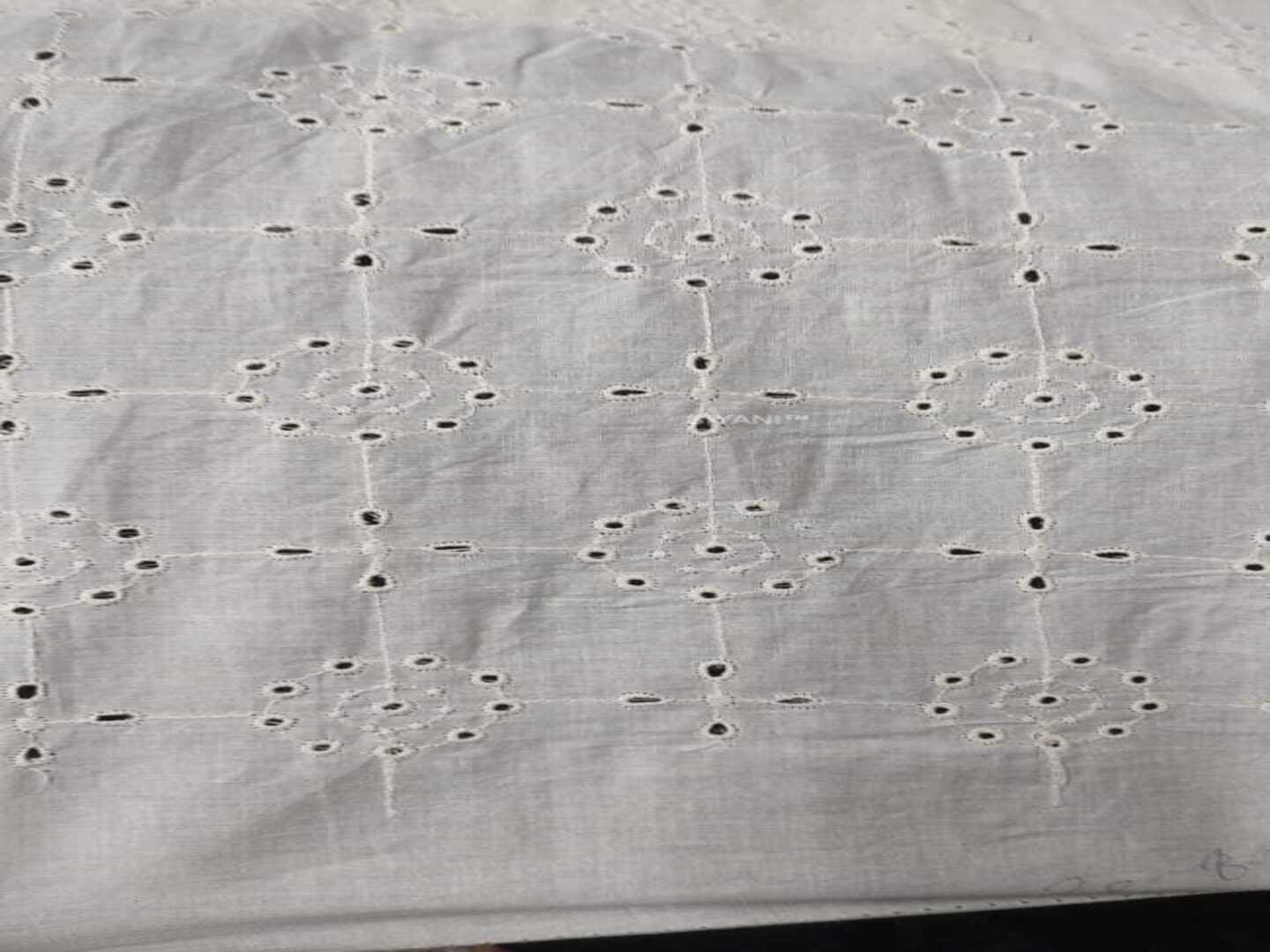 Off white circular pattern Schiffli Embroidered Fabric