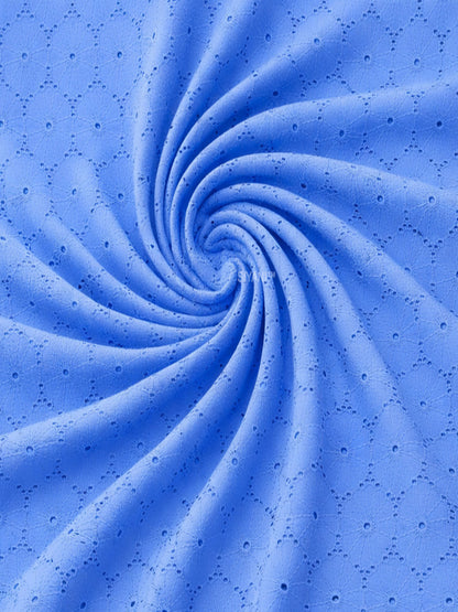 Sky Blue Floral Eyelet Schiffli fabric