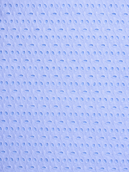 Pastel blue six hole schiffli embroidered fabric
