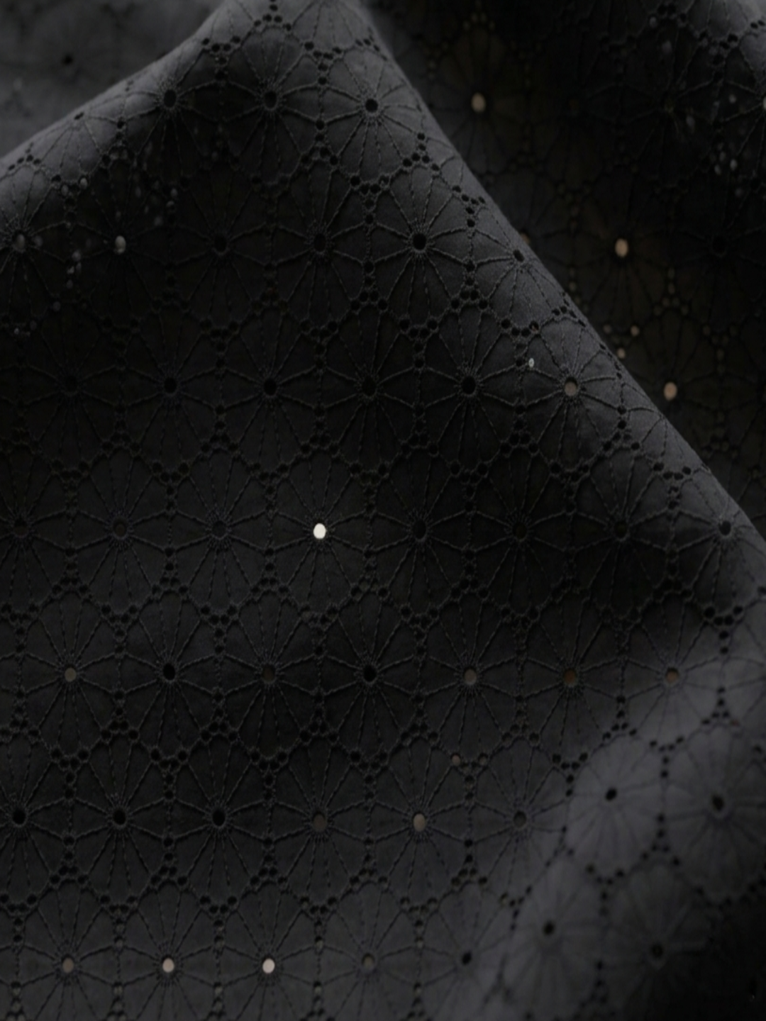 Black Floral Eyelet Schiffli fabric