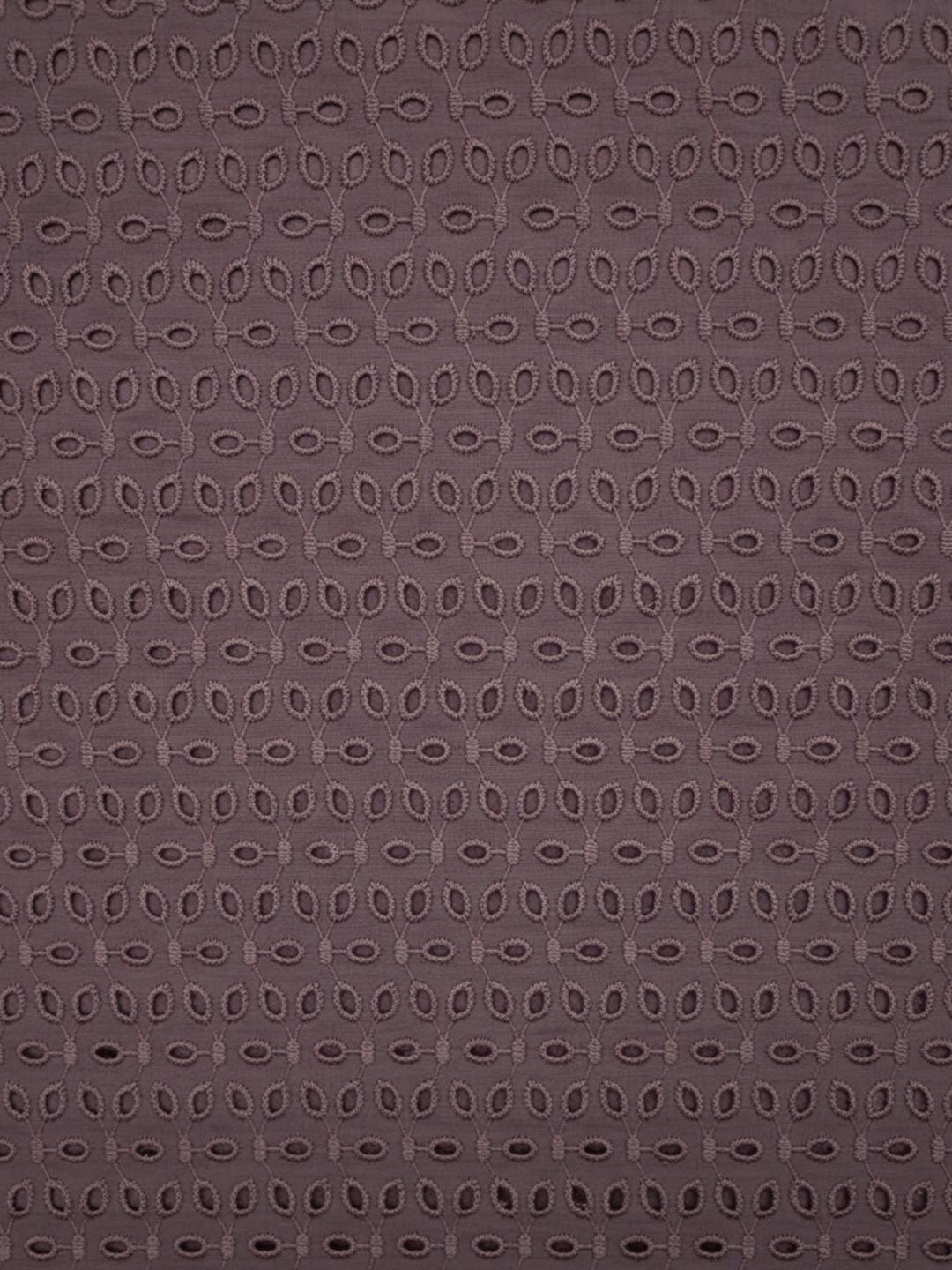 Pyaji six hole schiffli embroidered fabric