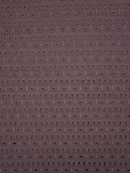 Pyaji six hole schiffli embroidered fabric