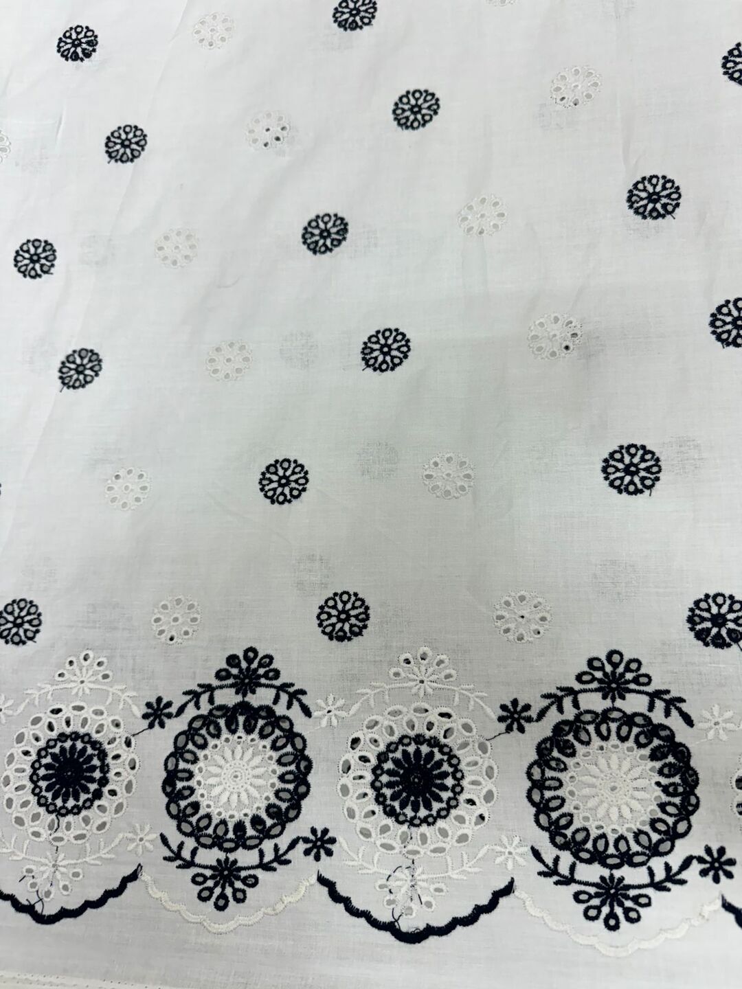 Daman schiffli embroidered fabric