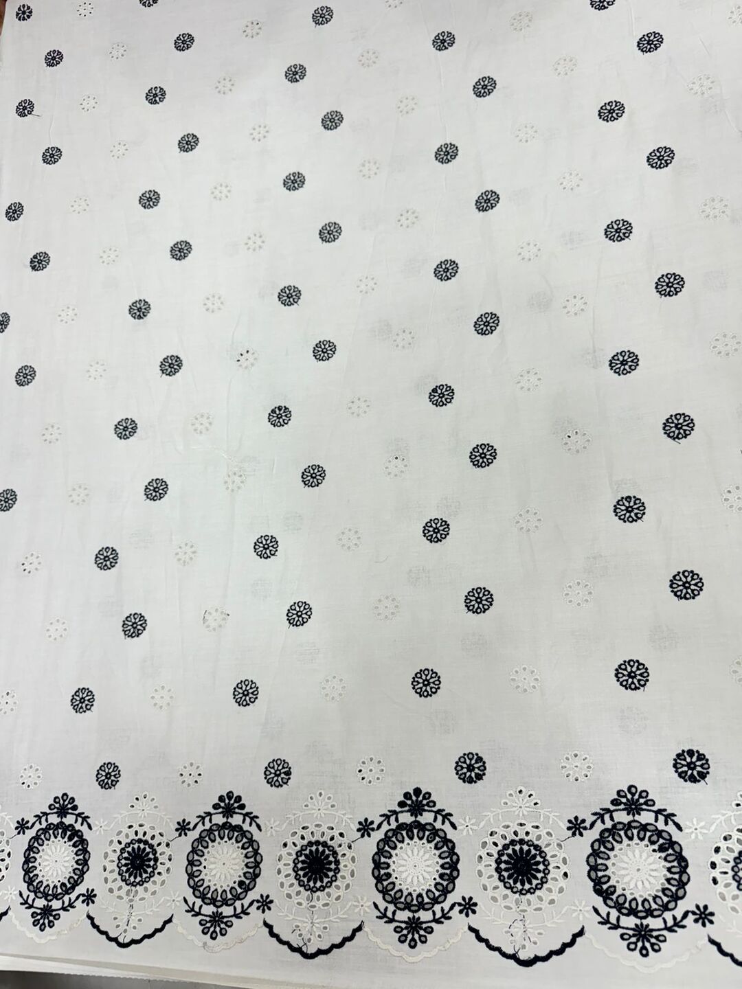 Daman schiffli embroidered fabric