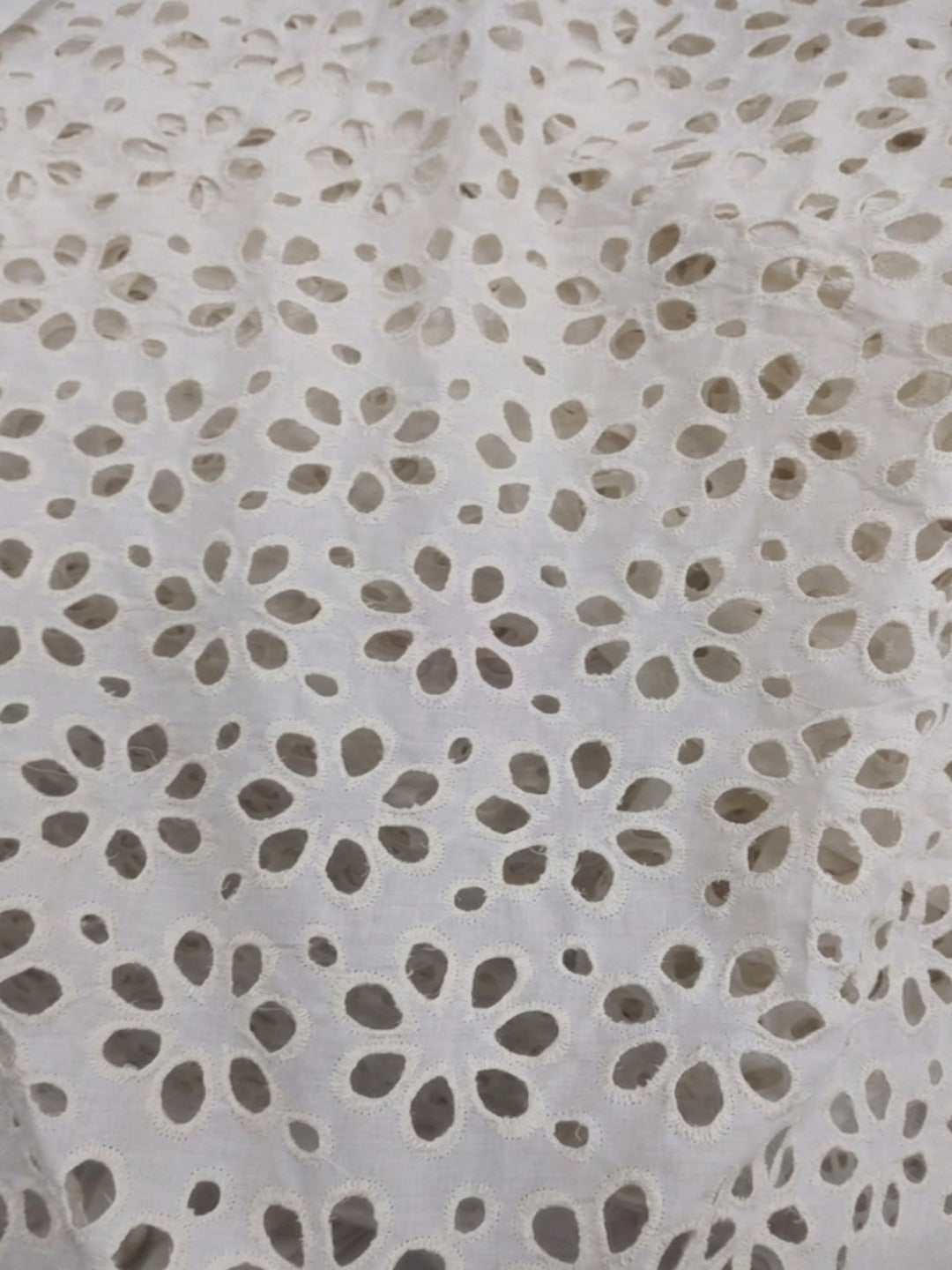 Off White Floral pattern Schiffli fabric