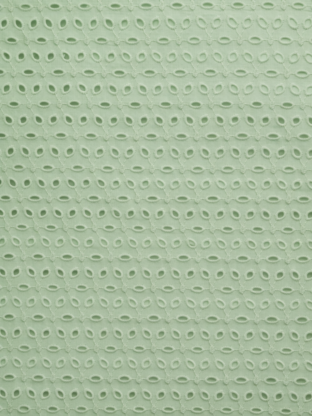 Mint Green six hole schiffli embroidered fabric
