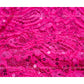 Hot Pink Sequins Jaal Embroidered Georgette Fabric Siyani Clothing India